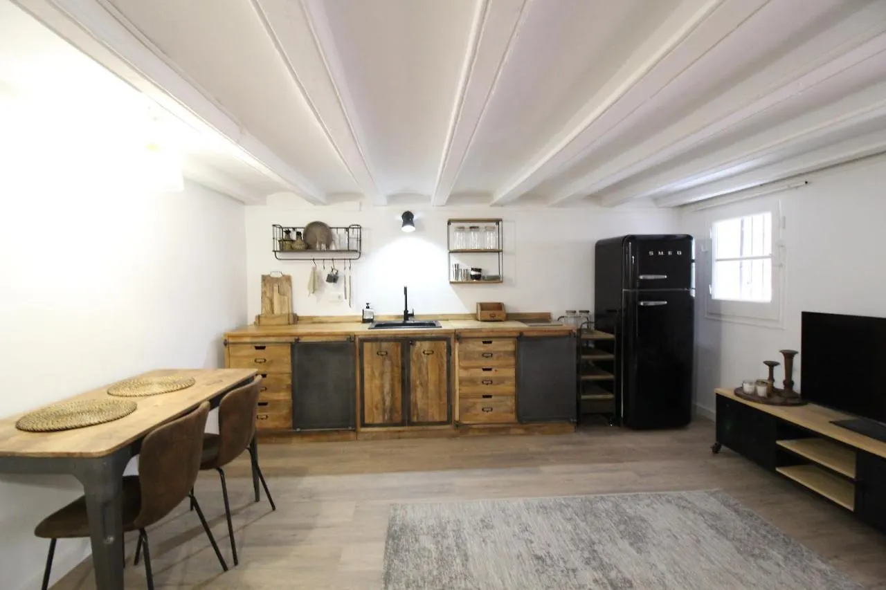 New Design Apartment In Barcelona Center. Spain