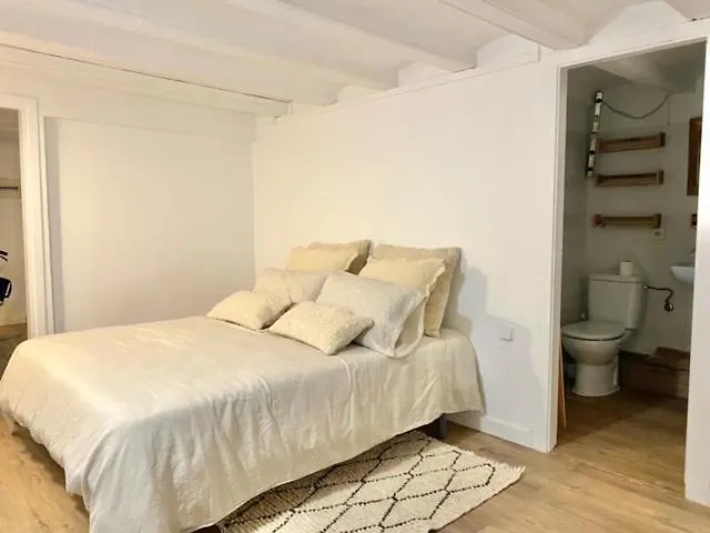 New Design Apartment In Barcelona Center.