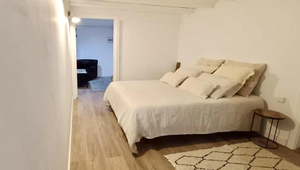 New Design Apartment In Barcelona Center.